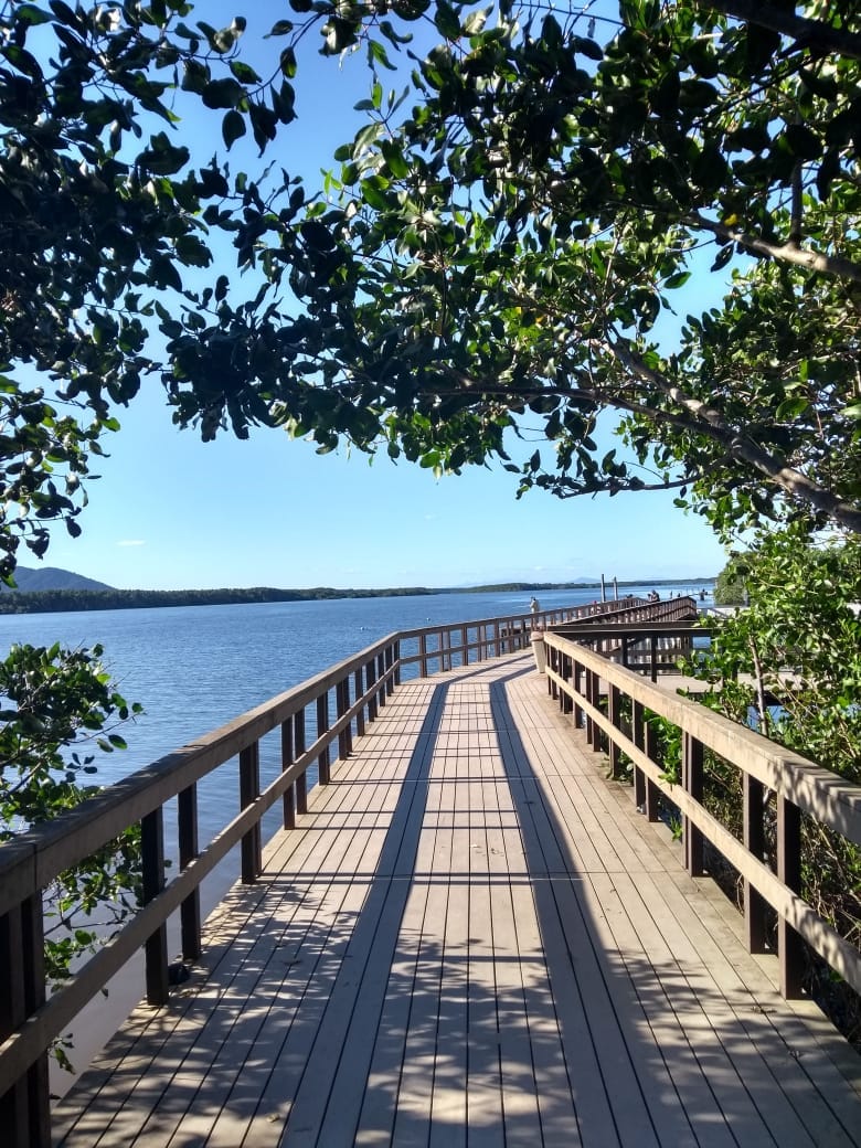 Passarela de madeira sobre lagoa, com guarda-corpo e vegetação ao redor